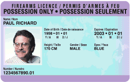 A sample of Possession-Only License