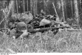 Bundesarchiv Bild 101I-198-1394-18A, Russland, Soldat mit russischem Gewehr.jpg