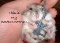 Boomstick hamster.jpg