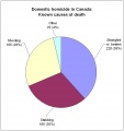 Canadian Domestic Homicide Data 1995-2007b.jpg